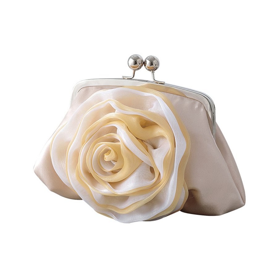 حقيبة سهرة رائجة البيع بتصميم  - مراجعة Women Bags For Sale وسعره
