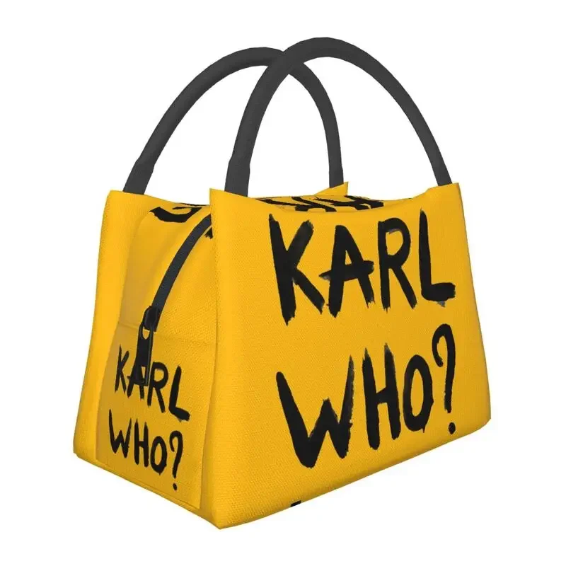 حقائب غداء معزولة من كارل هو ل - مراجعة Women'S Karl Bags وسعره